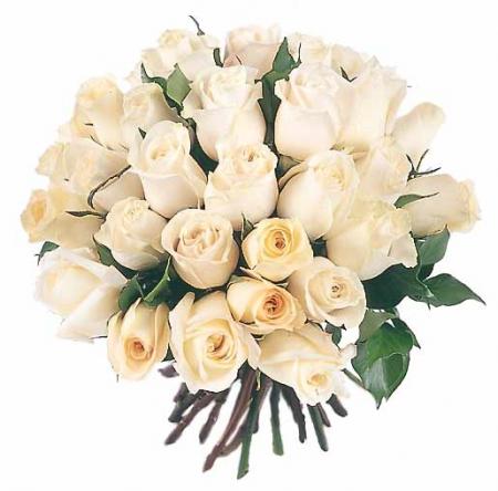                ROSES                                                BLANCHES